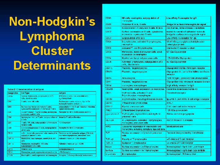 Non-Hodgkin’s Lymphoma Cluster Determinants 