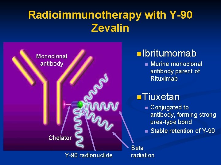 Radioimmunotherapy with Y-90 Zevalin Monoclonal antibody n Ibritumomab n Murine monoclonal antibody parent of