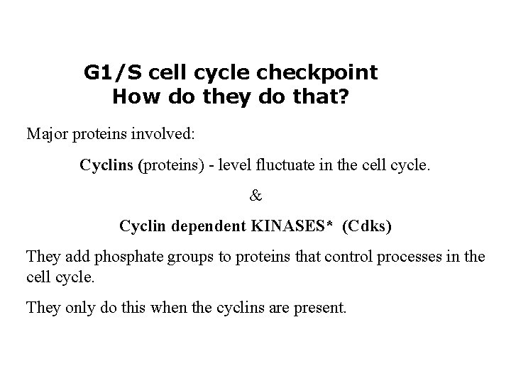 G 1/S cell cycle checkpoint How do they do that? Major proteins involved: Cyclins G 1/S cell cycle checkpoint How do they do that? Major proteins involved: Cyclins