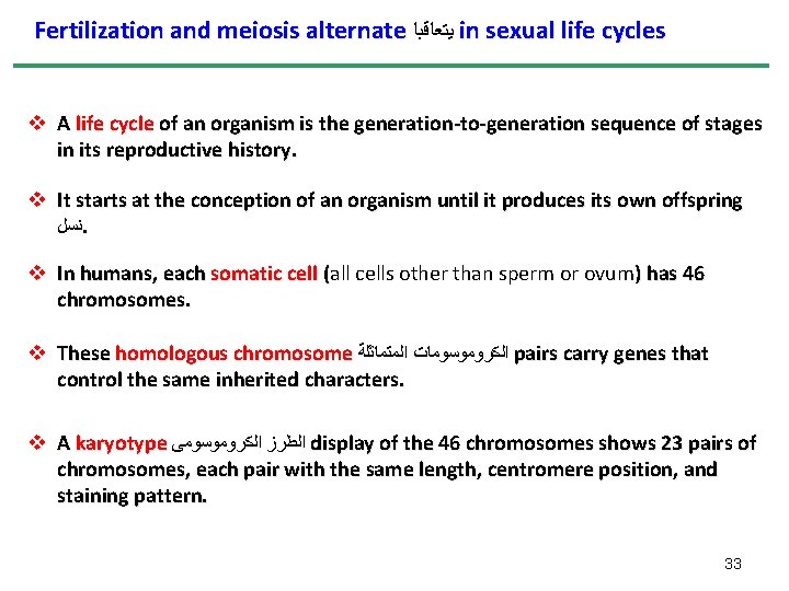 Fertilization and meiosis alternate ﻳﺘﻌﺎﻗﺒﺎ in sexual life cycles v A life cycle of Fertilization and meiosis alternate ﻳﺘﻌﺎﻗﺒﺎ in sexual life cycles v A life cycle of