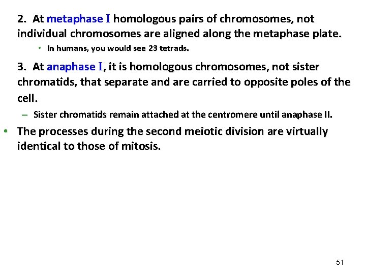 2. At metaphase I homologous pairs of chromosomes, not individual chromosomes are aligned along 2. At metaphase I homologous pairs of chromosomes, not individual chromosomes are aligned along