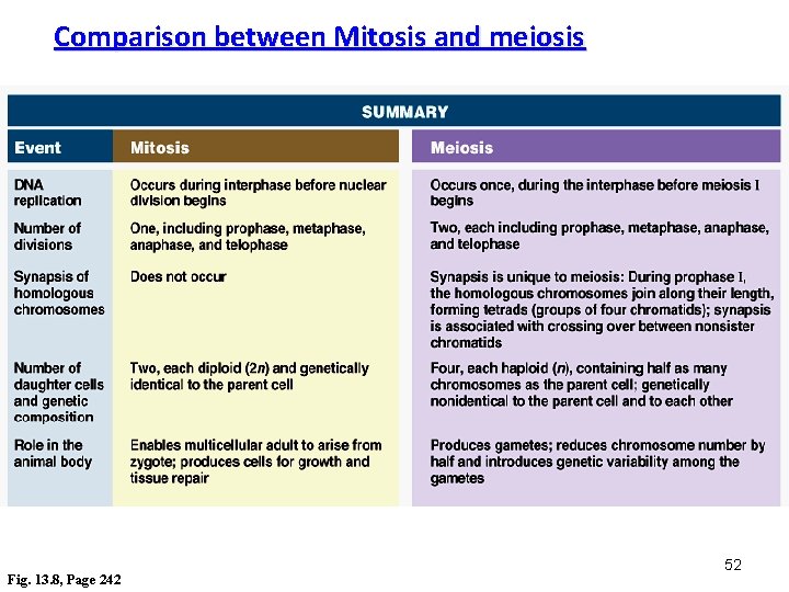 Comparison between Mitosis and meiosis Fig. 13. 8, Page 242 52 Comparison between Mitosis and meiosis Fig. 13. 8, Page 242 52