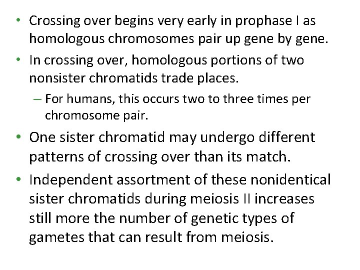 • Crossing over begins very early in prophase I as homologous chromosomes pair • Crossing over begins very early in prophase I as homologous chromosomes pair