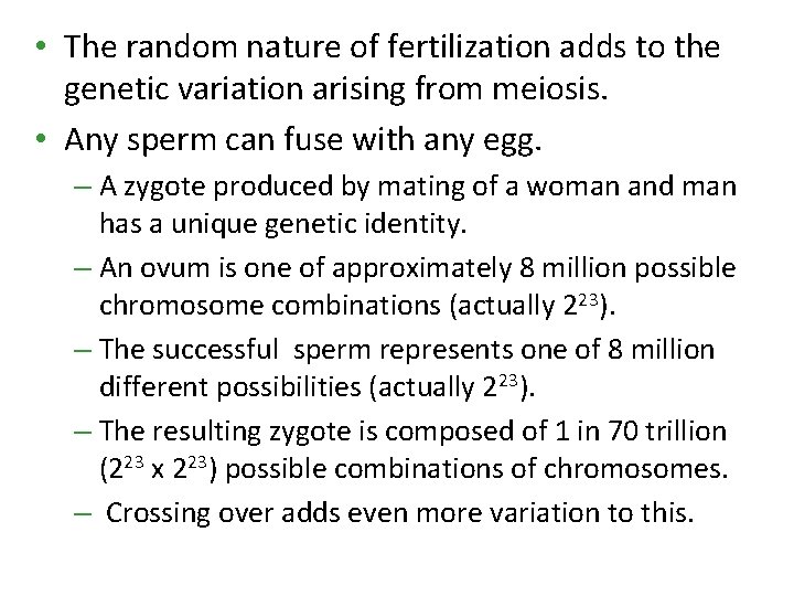 • The random nature of fertilization adds to the genetic variation arising from • The random nature of fertilization adds to the genetic variation arising from