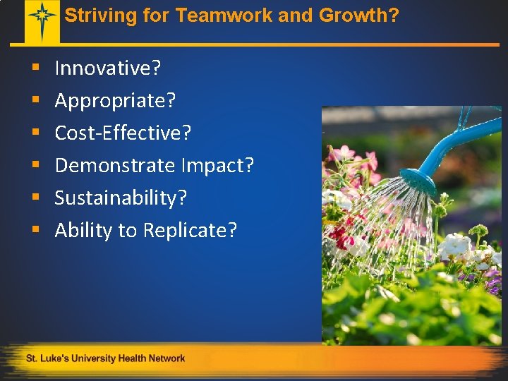Striving for Teamwork and Growth? § § § Innovative? Appropriate? Cost-Effective? Demonstrate Impact? Sustainability?