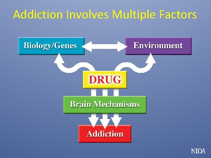 Addiction Involves Multiple Factors 
