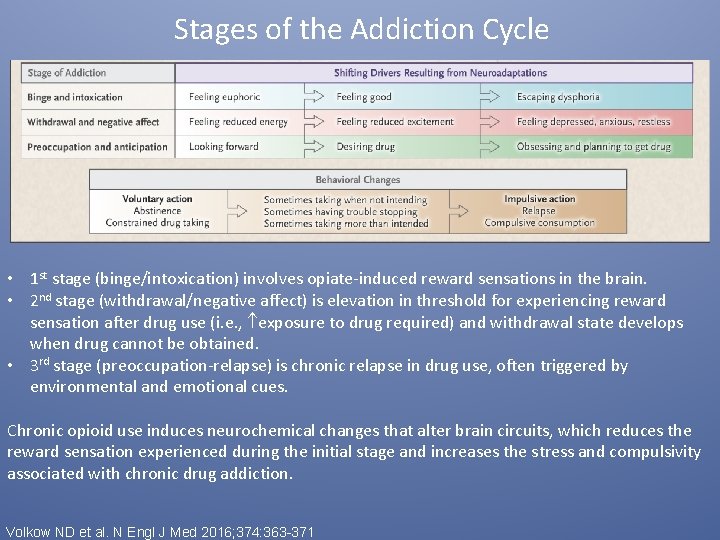 Stages of the Addiction Cycle • 1 st stage (binge/intoxication) involves opiate-induced reward sensations
