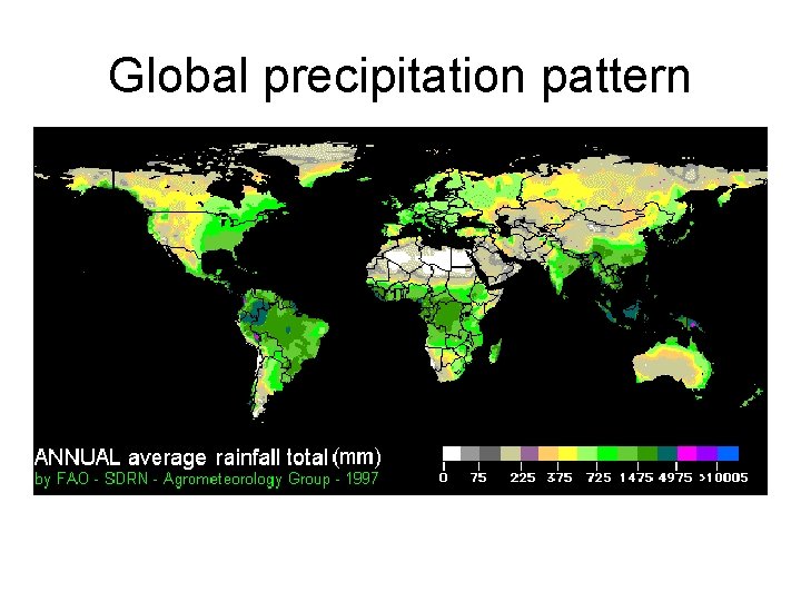Global precipitation pattern 