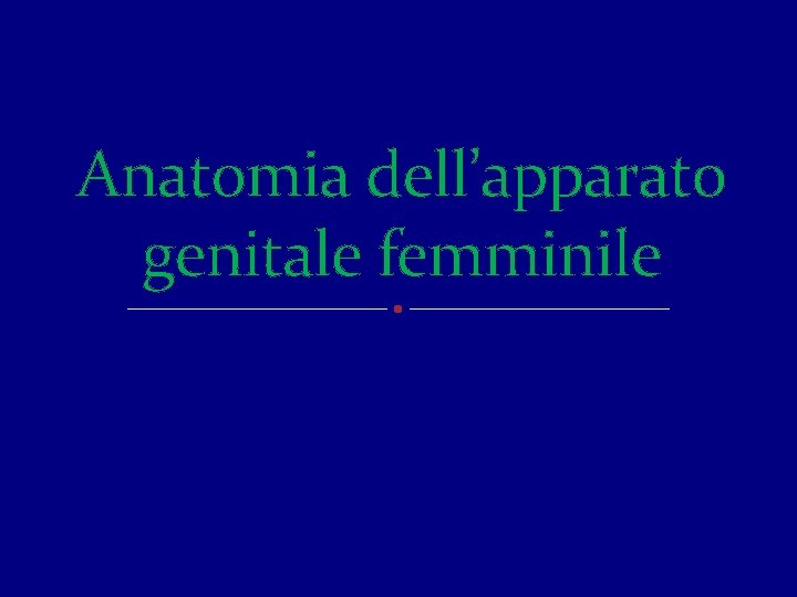 Anatomia dell’apparato genitale femminile 