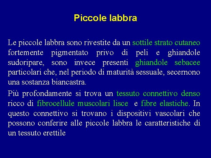 Piccole labbra Le piccole labbra sono rivestite da un sottile strato cutaneo fortemente pigmentato Piccole labbra Le piccole labbra sono rivestite da un sottile strato cutaneo fortemente pigmentato