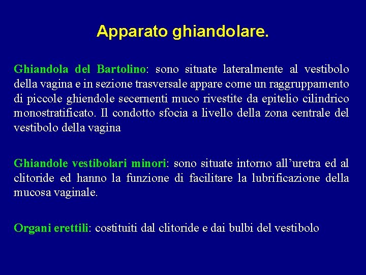 Apparato ghiandolare. Ghiandola del Bartolino: Bartolino sono situate lateralmente al vestibolo della vagina e