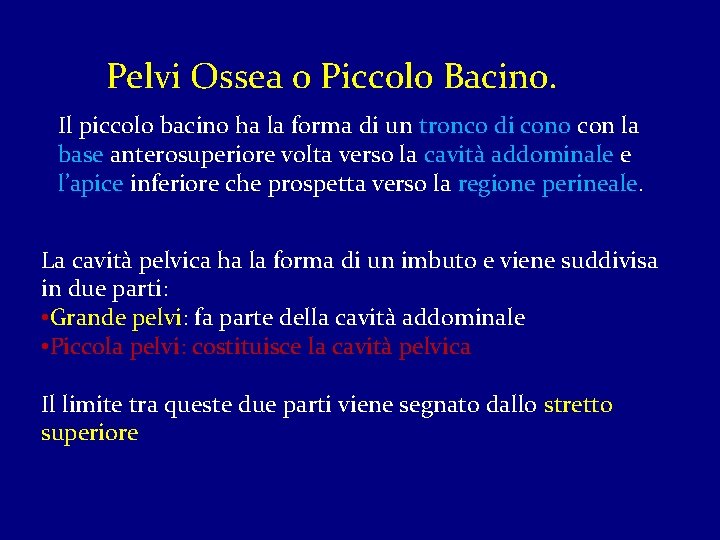 Pelvi Ossea o Piccolo Bacino. Il piccolo bacino ha la forma di un tronco