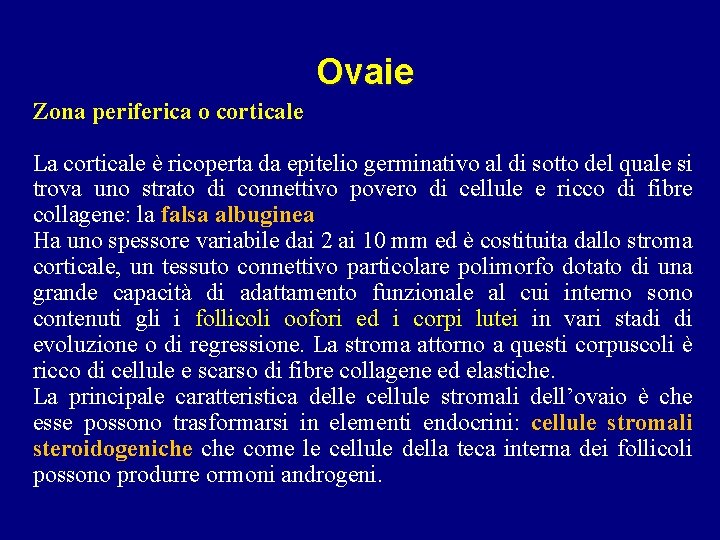 Ovaie Zona periferica o corticale La corticale è ricoperta da epitelio germinativo al di