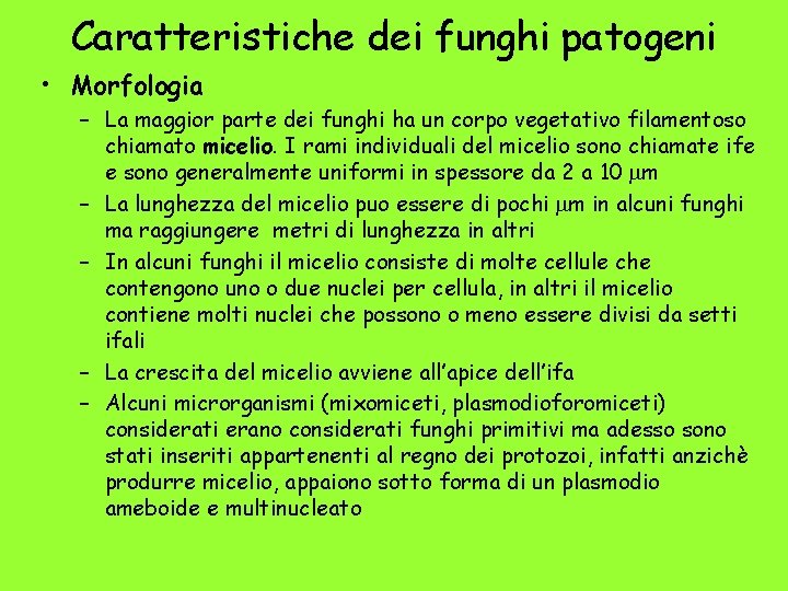 Caratteristiche dei funghi patogeni • Morfologia – La maggior parte dei funghi ha un