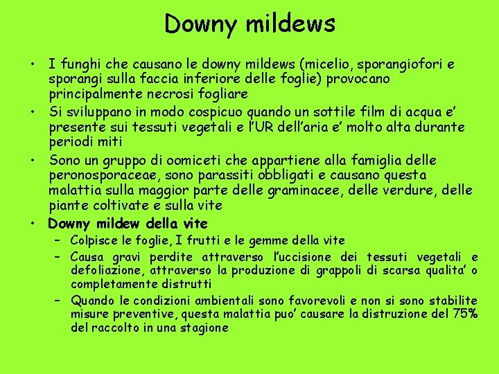 Downy mildews • I funghi che causano le downy mildews (micelio, sporangiofori e sporangi