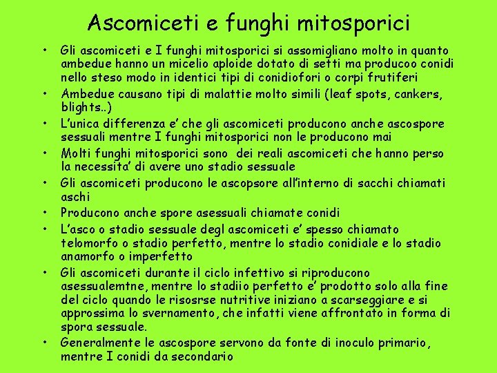 Ascomiceti e funghi mitosporici • • • Gli ascomiceti e I funghi mitosporici si