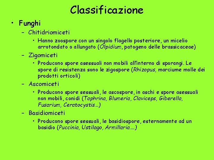 Classificazione • Funghi – Chitidriomiceti • Hanno zoospore con un singolo flagello posteriore, un
