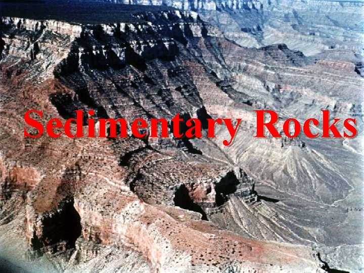 Sedimentary Rocks 