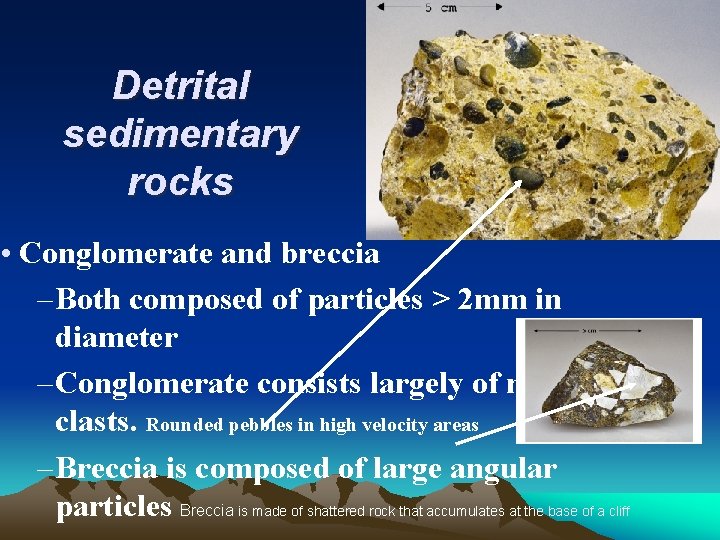 Detrital sedimentary rocks • Conglomerate and breccia – Both composed of particles > 2