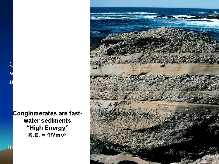 Outcrop of conglomerate with cobble-sized clasts interbedded with sandstone Conglomerates are fastwater sediments “High