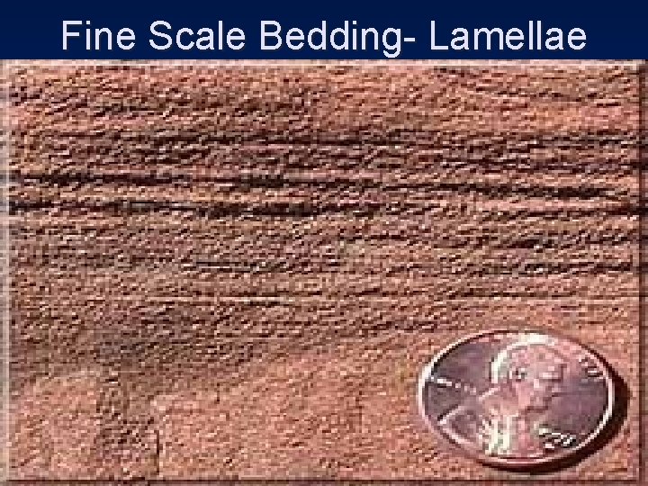 Fine Scale Bedding- Lamellae 