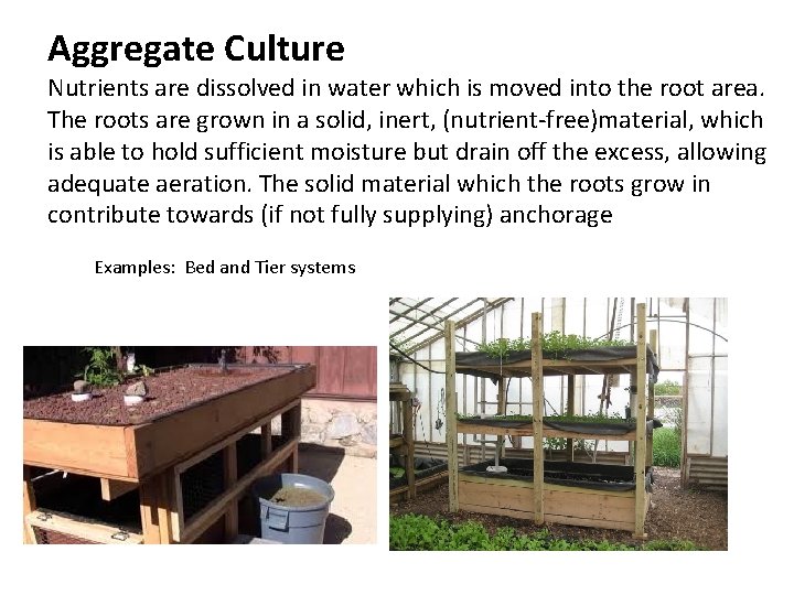 Aggregate Culture Nutrients are dissolved in water which is moved into the root area.