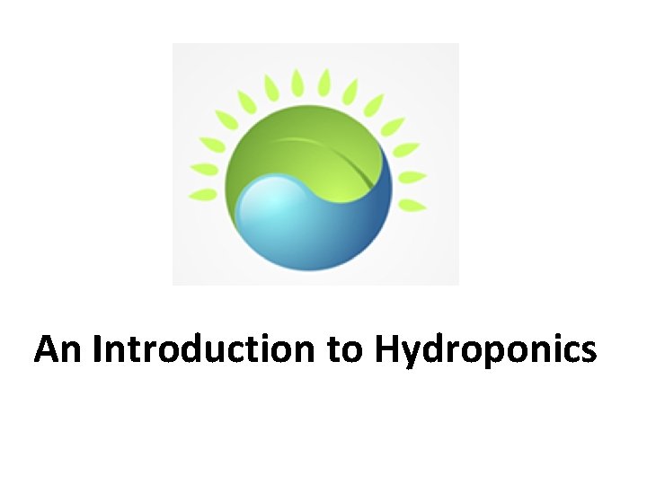 An Introduction to Hydroponics 