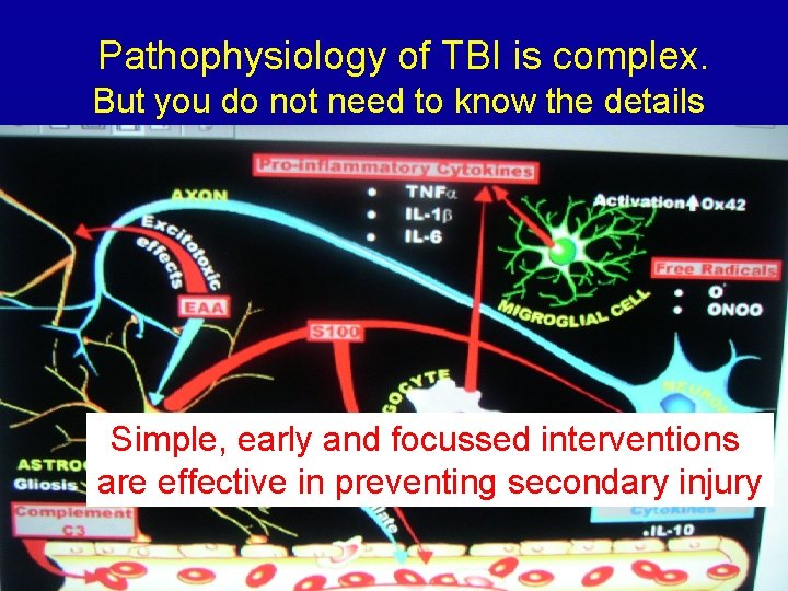 Pathophysiology of TBI is complex. But you do not need to know the details