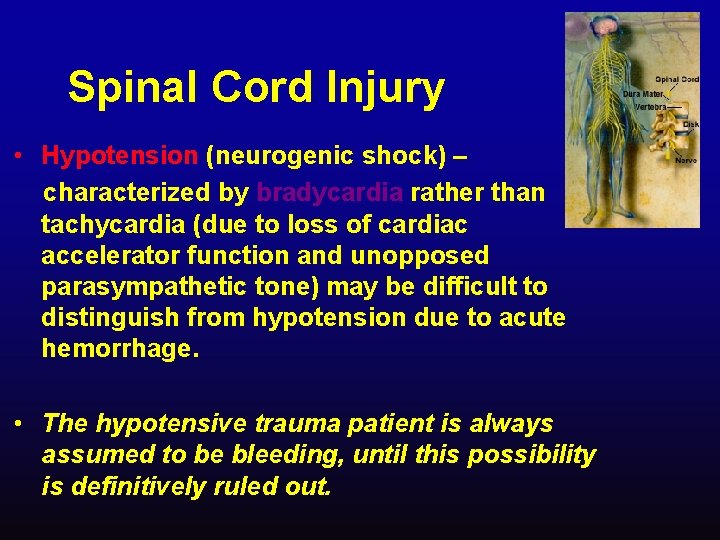 Spinal Cord Injury • Hypotension (neurogenic shock) – characterized by bradycardia rather than tachycardia