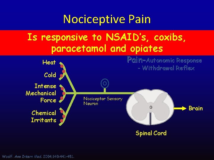 Nociceptive Pain Is responsive to NSAID’s, coxibs, paracetamol and opiates Noxious Peripheral Stimuli Pain-Autonomic