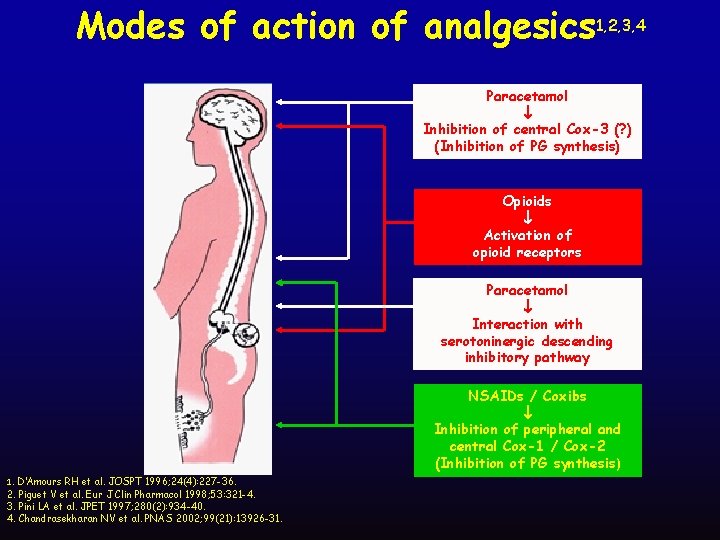 Modes of action of analgesics 1, 2, 3, 4 Paracetamol Inhibition of central Cox-3