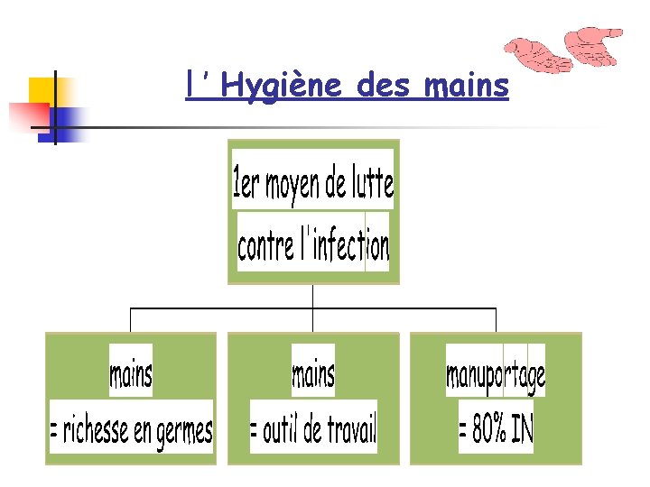 l ’ Hygiène des mains 