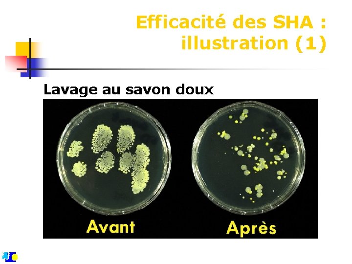 Efficacité des SHA : illustration (1) Lavage au savon doux 