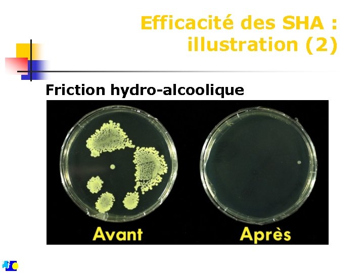 Efficacité des SHA : illustration (2) Friction hydro-alcoolique 