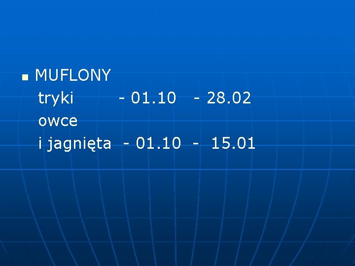 MUFLONY tryki - 01. 10 - 28. 02 owce i jagnięta - 01. 10