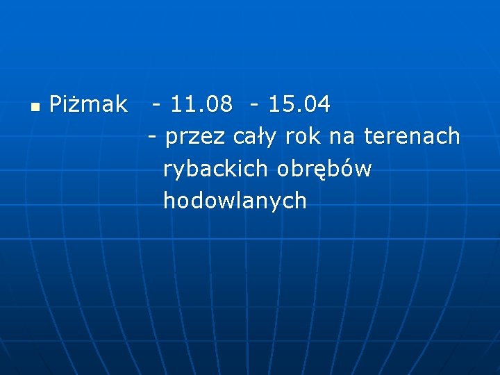 Piżmak - 11. 08 - 15. 04 - przez cały rok na terenach rybackich