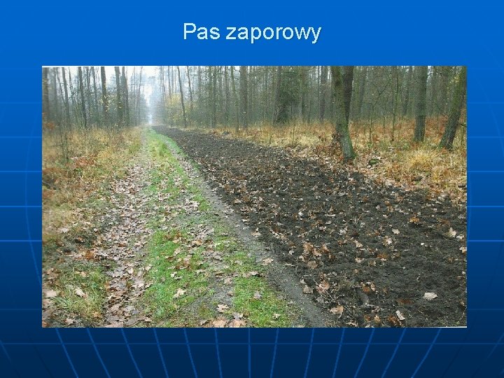 Pas zaporowy 