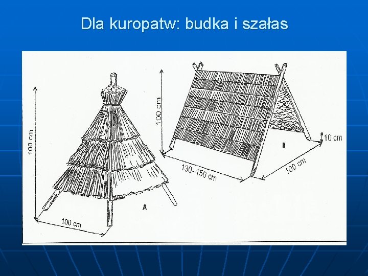 Dla kuropatw: budka i szałas 