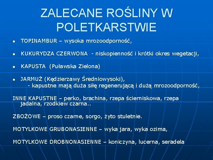 ZALECANE ROŚLINY W POLETKARSTWIE n TOPINAMBUR – wysoka mrozoodporność, n KUKURYDZA CZERWONA - niskopienność