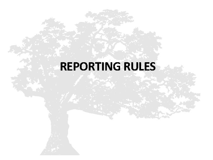 REPORTING RULES 