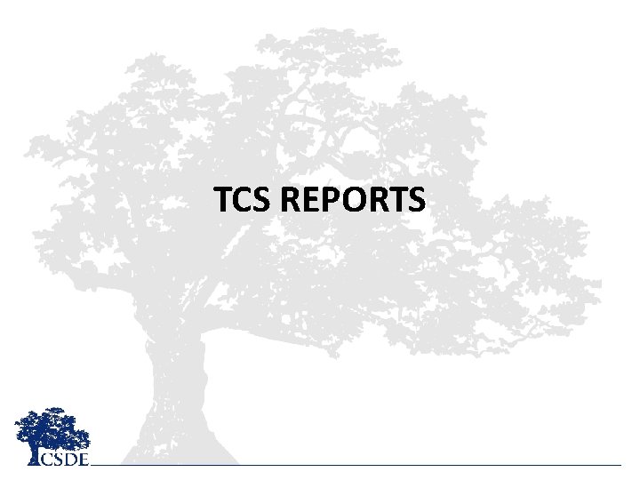 TCS REPORTS 