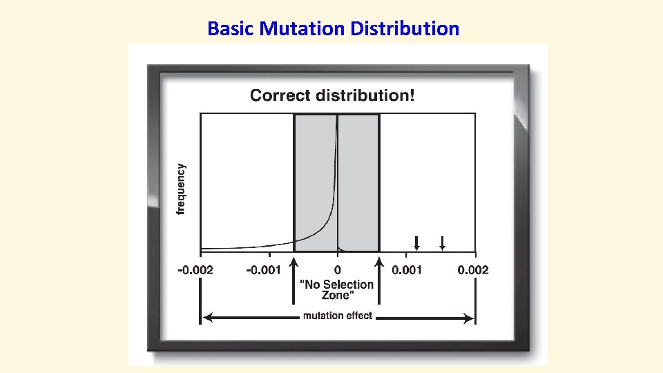 Basic Mutation Distribution 