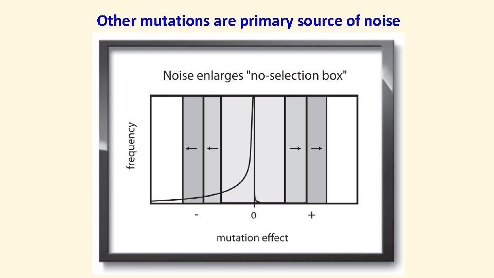 Other mutations are primary source of noise 