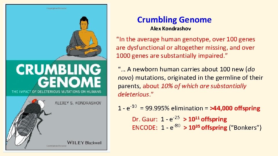 Crumbling Genome Alex Kondrashov “In the average human genotype, over 100 genes are dysfunctional