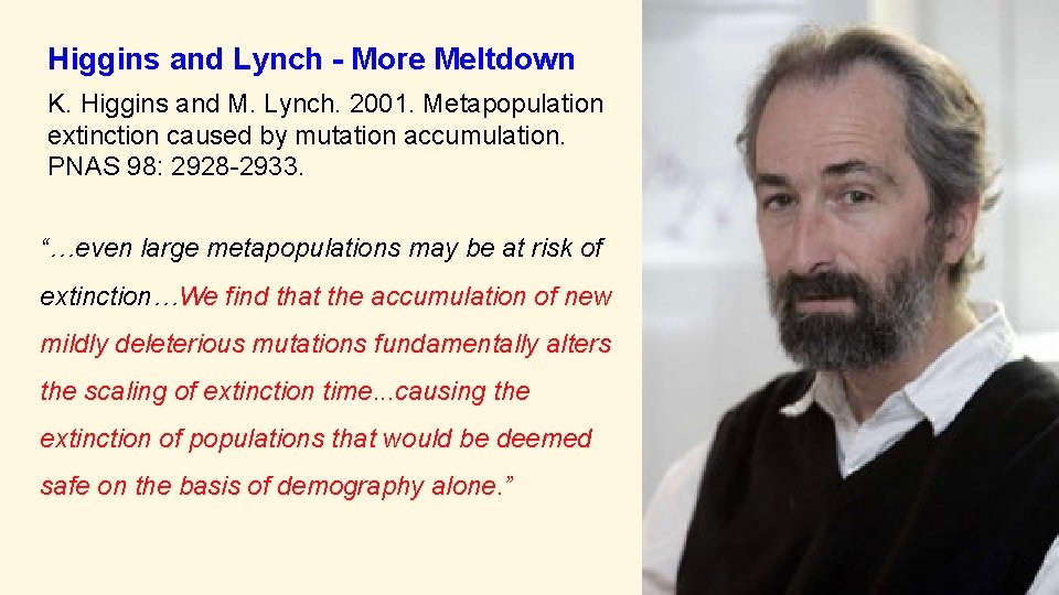 Higgins and Lynch - More Meltdown K. Higgins and M. Lynch. 2001. Metapopulation extinction