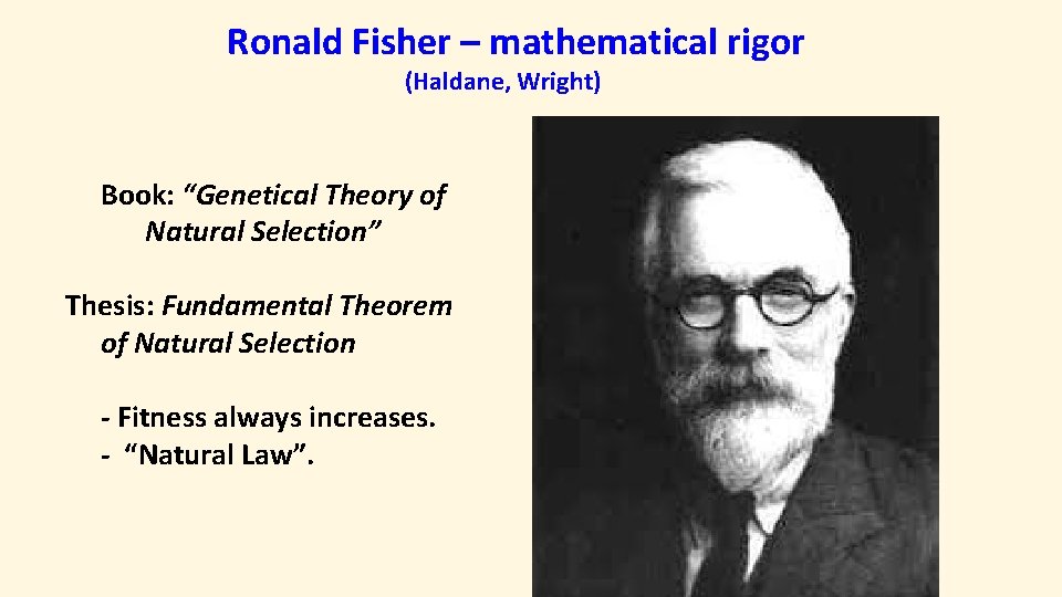 Ronald Fisher – mathematical rigor (Haldane, Wright) Book: “Genetical Theory of Natural Selection” Thesis: