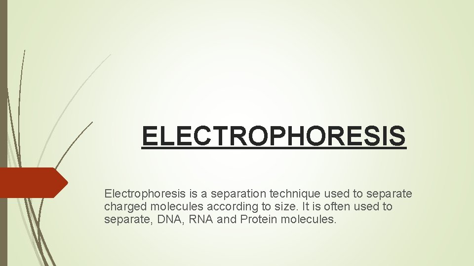 ELECTROPHORESIS Electrophoresis is a separation technique used to separate charged molecules according to size.