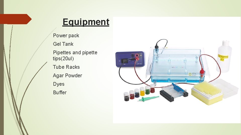 Equipment Power pack Gel Tank Pipettes and pipette tips(20 ul) Tube Racks Agar Powder