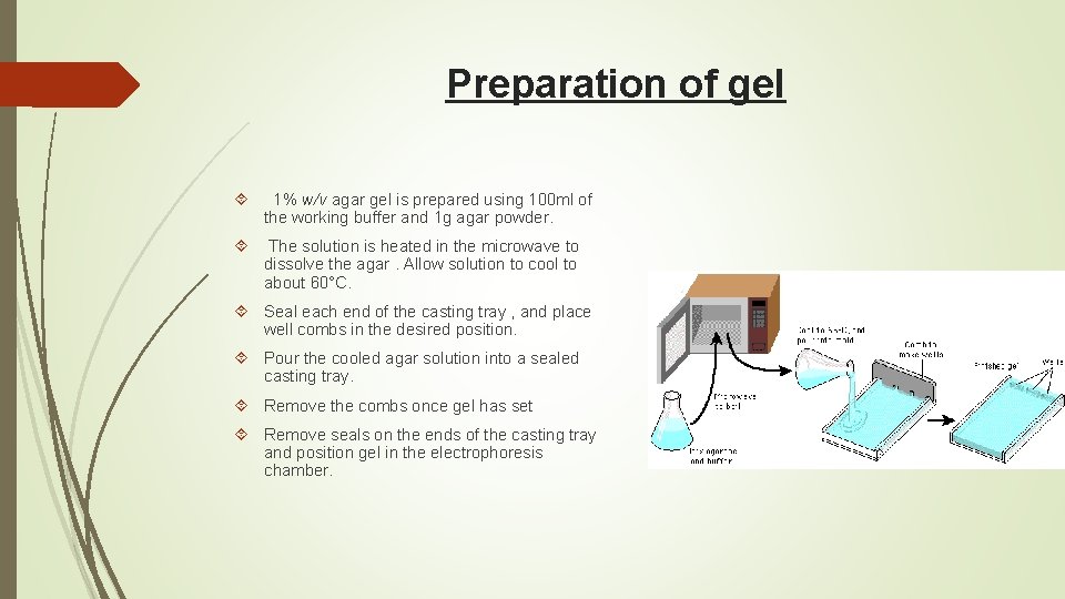 Preparation of gel 1% w/v agar gel is prepared using 100 ml of the