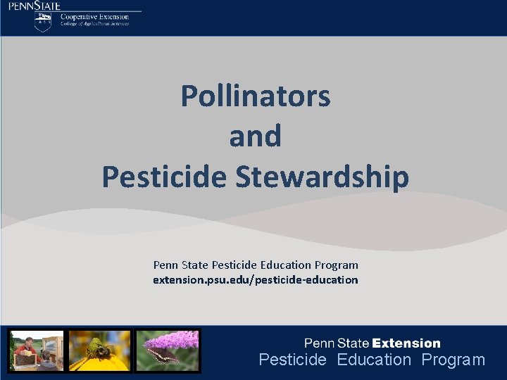 Click to edit Master title style Pollinators • Click to edit Master text styles